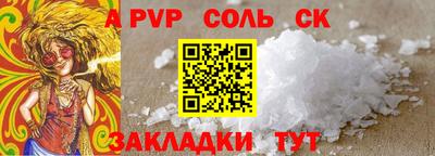ECSTASY Камышлов