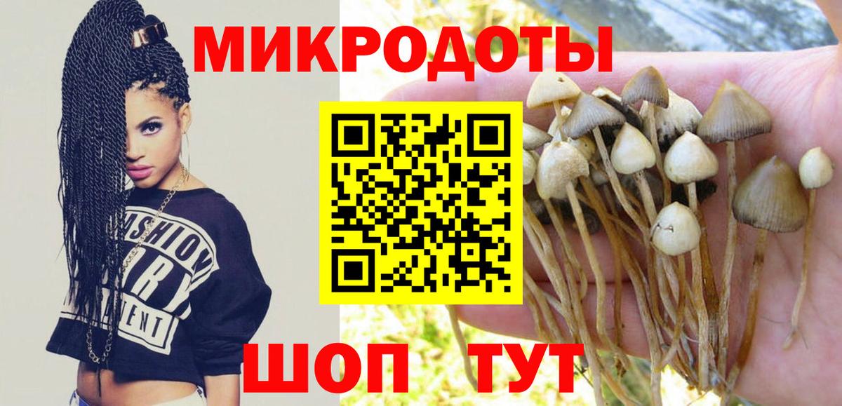 Псилоцибиновые грибы Psilocybine cubensis Глазов