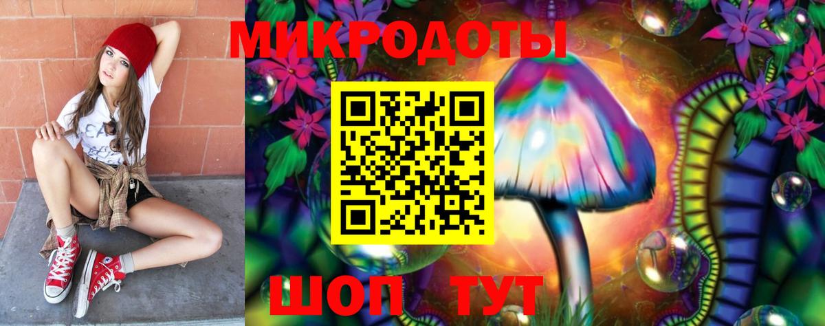 Галлюциногенные грибы Psilocybe  Вход с VPN  Глазов 